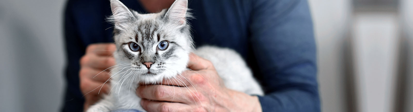 Jackson Hospital Generic Section image Jackson Hospital Generic Section image