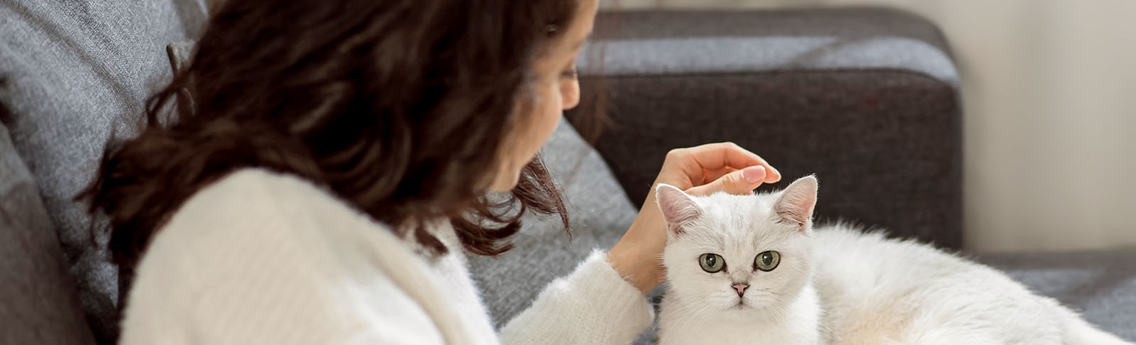 thomasville-veterinary-hospital-banner-3 thomasville-veterinary-hospital-banner-3