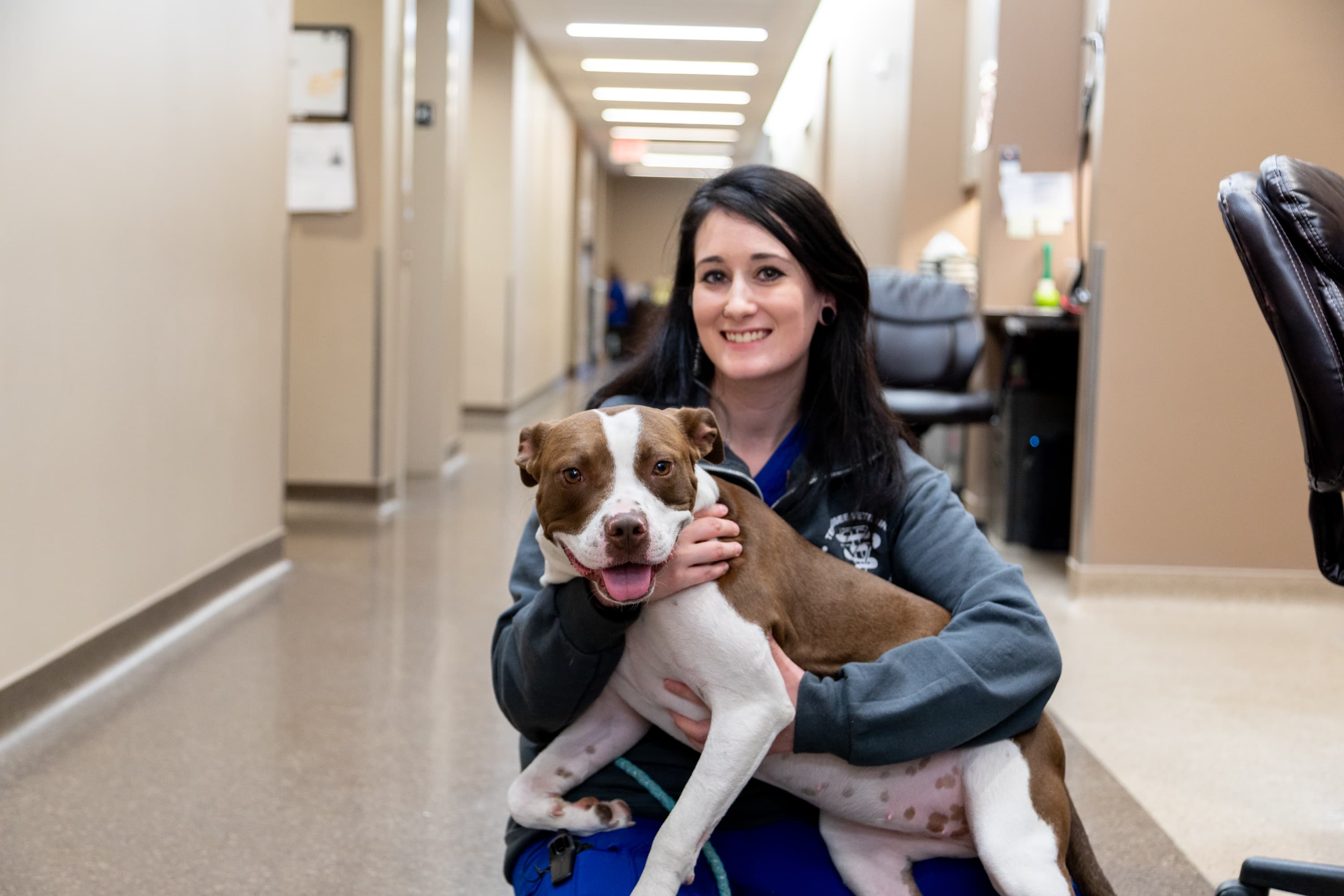 Nurse Holding Dog Nurse Holding Dog