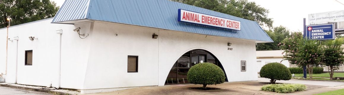 thomasville-veterinary-hospital-banner-3 thomasville-veterinary-hospital-banner-3
