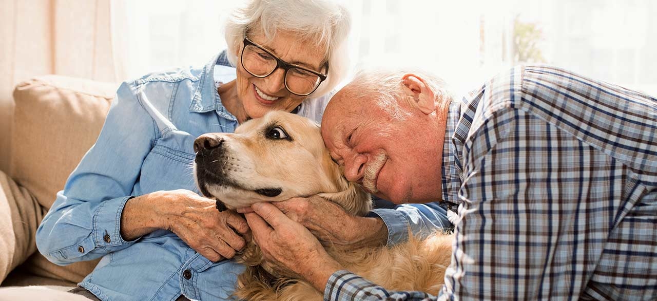 Community Veterinary Clinic Community Veterinary Clinic