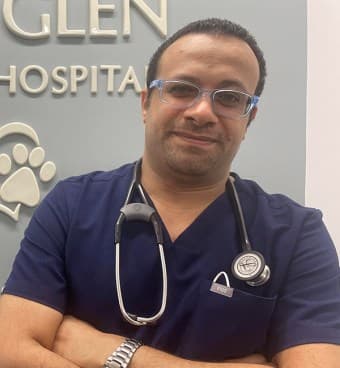 Dr. Poles Morkos Dr. Poles Morkos