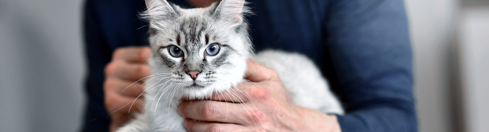 Columbia River Veterinary Specialists Columbia River Veterinary Specialists