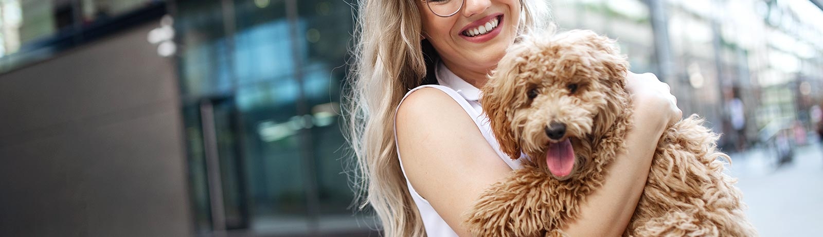 thomasville-veterinary-hospital-banner-3 thomasville-veterinary-hospital-banner-3