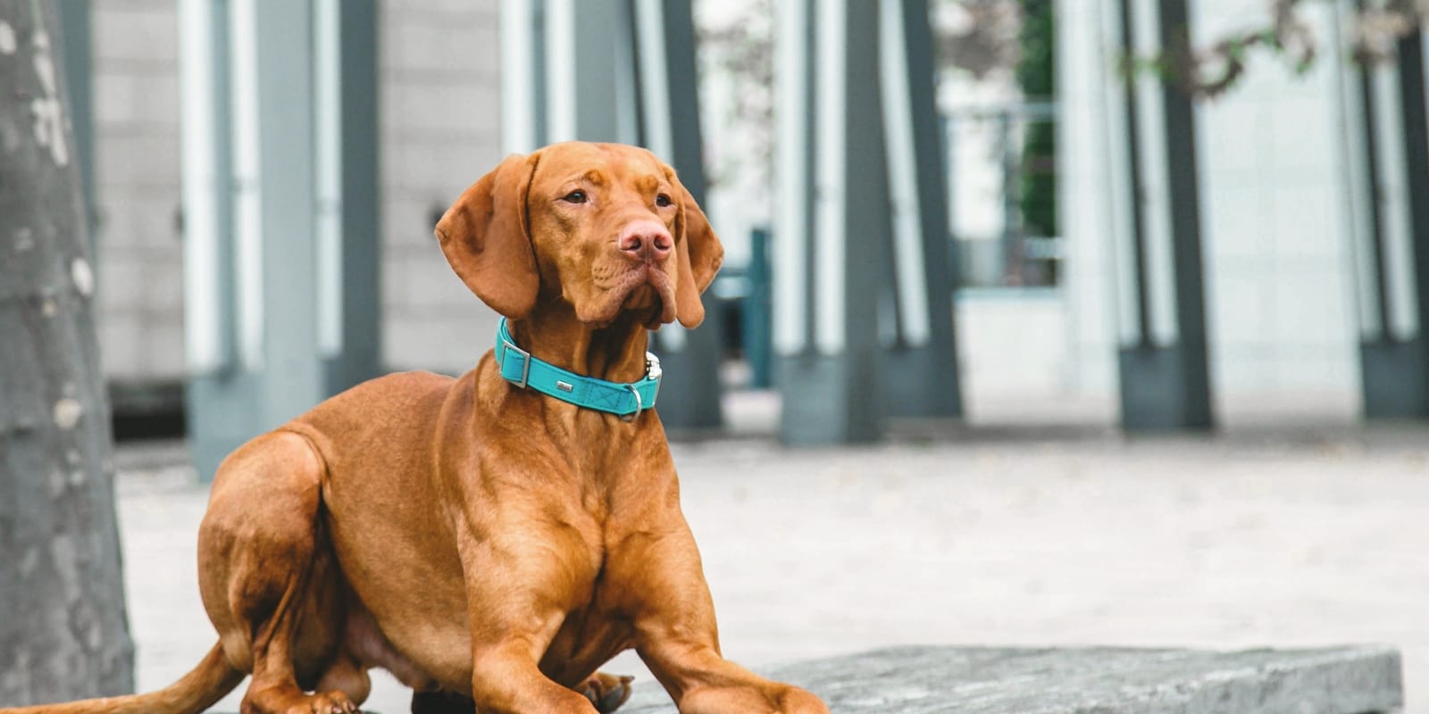 Welcome to A Hero Image Welcome to A Hero Image