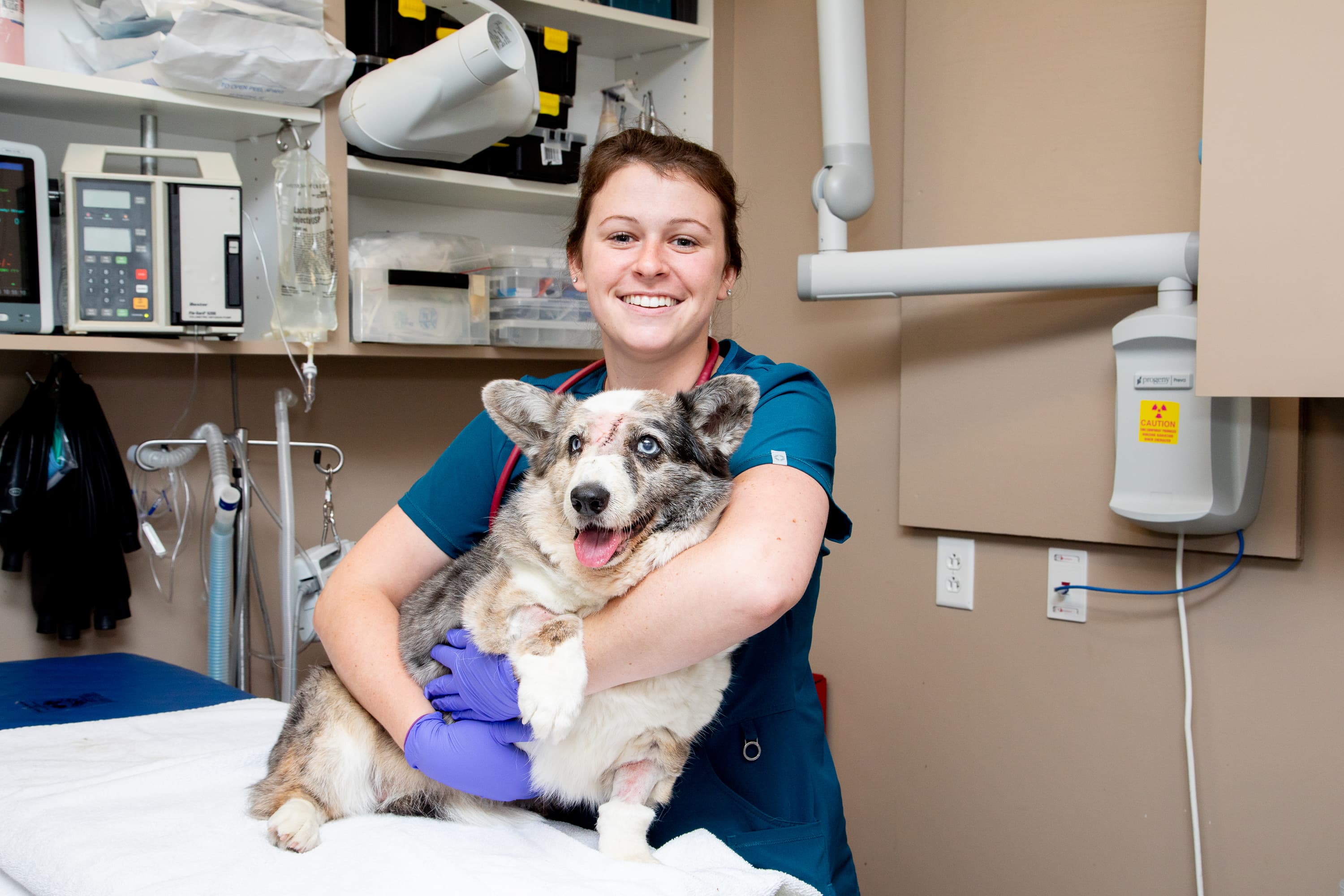 Best Friends Animal Hospital Split Section Image Best Friends Animal Hospital Split Section Image